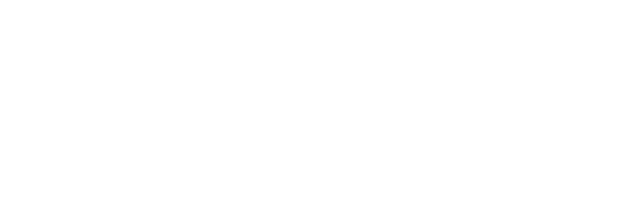 Precision Project Partners logo